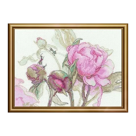 Peonies. Delight 18x15 SRA1009