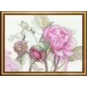 Peonies. Delight 18x15 SRA1009