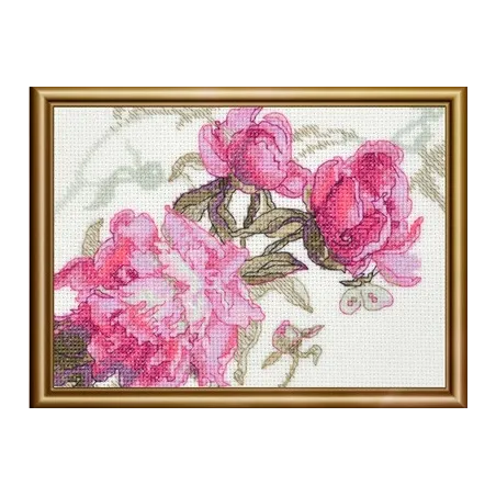 Peonies. Whisper 18x15 SRA1010