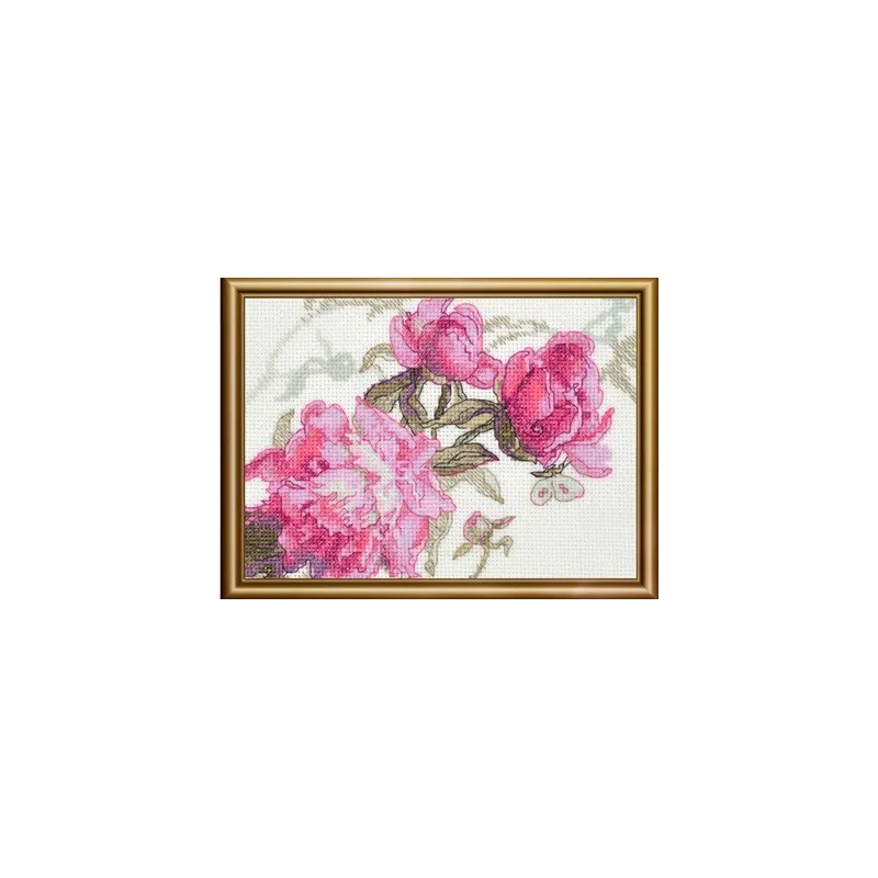 Peonies. Whisper 18x15 SRA1010