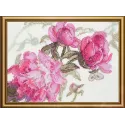 Peonies. Whisper 18x15 SRA1010