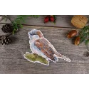 Cross stitch kit "Sweet little sparrow" SR-947