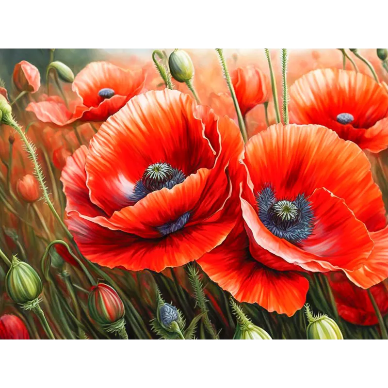 Kit de peinture diamant "Coquelicots" 40x30 cm WD3204