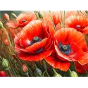 Kit de peinture diamant "Coquelicots" 40x30 cm WD3204
