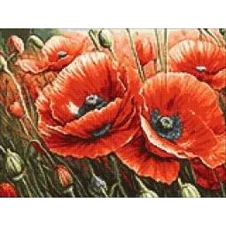 Kit de peinture diamant "Coquelicots" 40x30 cm WD3204