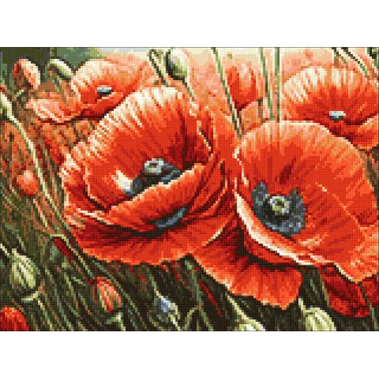 Kit de peinture diamant "Coquelicots" 40x30 cm WD3204