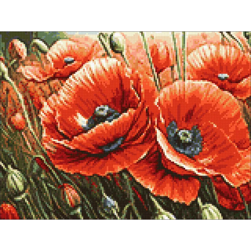 Kit de peinture diamant "Coquelicots" 40x30 cm WD3204