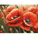 Kit de peinture diamant "Coquelicots" 40x30 cm WD3204