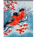 Diamond painting with subframe 40x50 cm   Bullfinches DP409