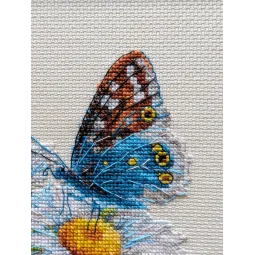 Kit de point de croix Fragile Beauty 15x15 SR2220