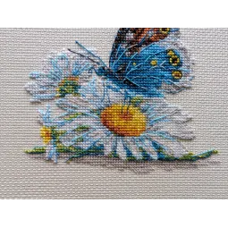 Cross stitch kit Fragile Beauty 15x15 SR2220