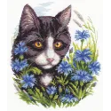 Kreuzstich-Set KLART "Katze im Kornblumenfeld" KL8-110