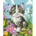 2024Paint by Numbers kit "Fluffy kitten" 16.5x13 cm MINI318