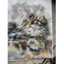 Cross-stitch kit "Grey cat" SAND-33