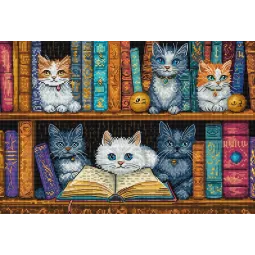 Kit point de croix Bibliothèque 32x22cm SLETIL9917