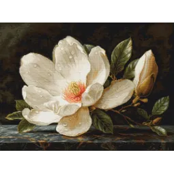 Kreuzstich-Set "The Magnolia Dew" 38x28cm SB713