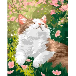 Paint by Numbers kit "Pleasure" 40x50 cm W086 1225