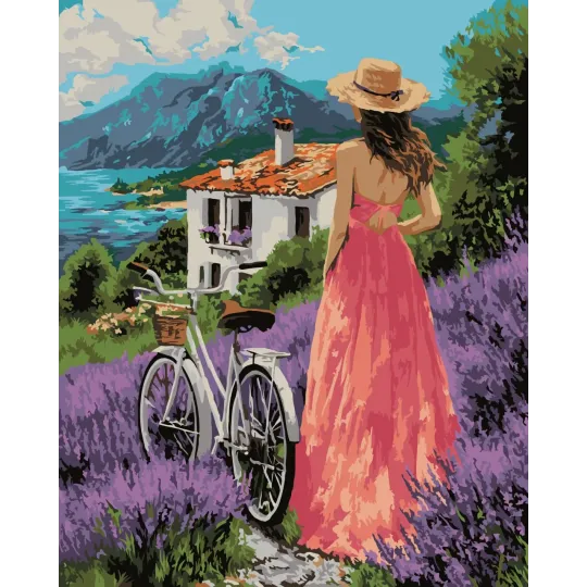 Paint by Numbers kit "Beautiful view"  40x50 cm W084 0326