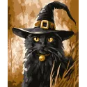 Malen nach Zahlen Set "Schwarze Katze" 16,5x13 cm MINI315 0425