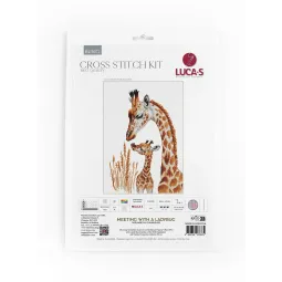 Siūti kryželiu rinkinys "Susitikimas su boružėle" 20 x 29 cm SBU5072