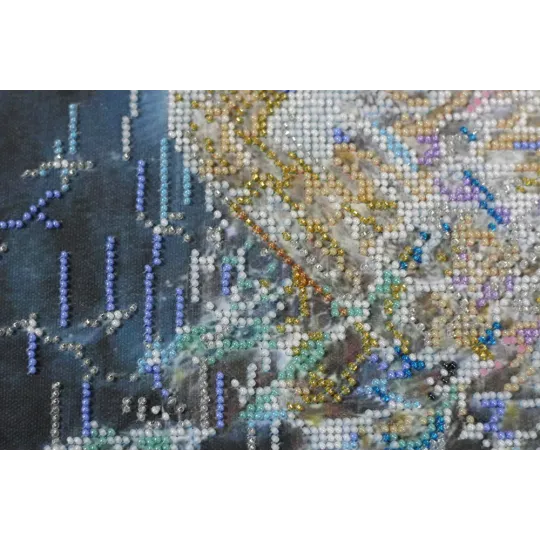 Основной набор для вышивания бисером - Fidelity lights (Fantasy) 25x30 см AAB-418