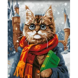 Kit de peinture par numéros "École de magie" 40x50 cm W062 0125