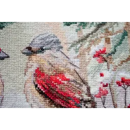 Cross-stitch kits - Chittering about winter (Deco Scenes) 25x25 cm AAH-238