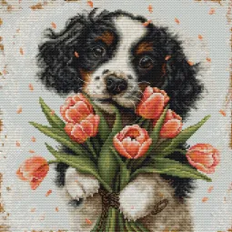 Kit de point de croix "Le chiot Cocker Spaniel" 27x27cm SBU5067