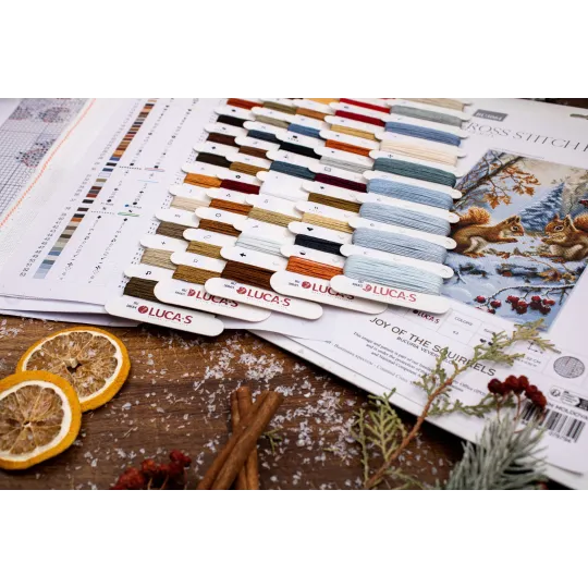 Набор для вышивания крестом "Радость Белок" 21x32см SBU5064