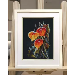 Kit de point de croix "Physalis sur noir" S1617