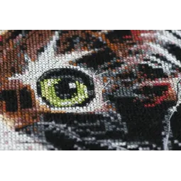 Cross-stitch kit Fluffy kitten 30x35 cm AAH-062