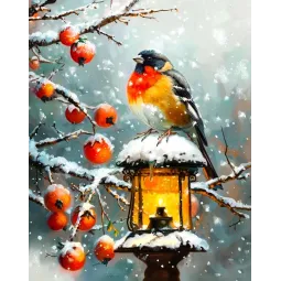 Peinture diamant avec châssis Bouvreuil 30x40 cm VA819