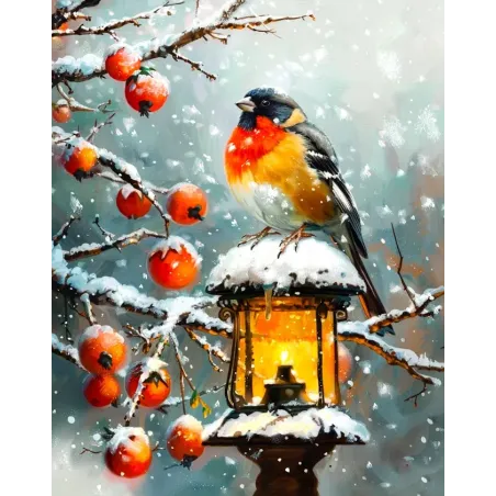 Peinture diamant avec châssis Bouvreuil 30x40 cm VA819