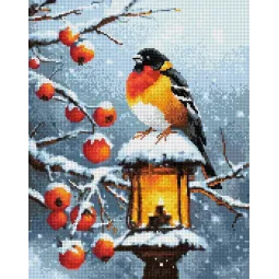 Diamant Malerei mit Keilrahmen Dompfaff 30x40 cm VA819