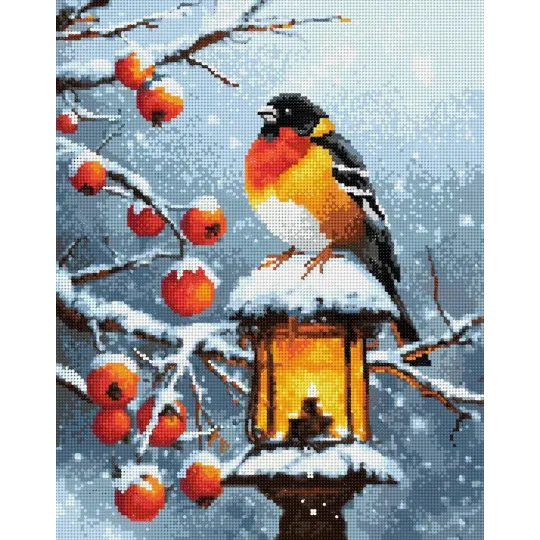 Peinture diamant avec châssis Bouvreuil 30x40 cm VA819