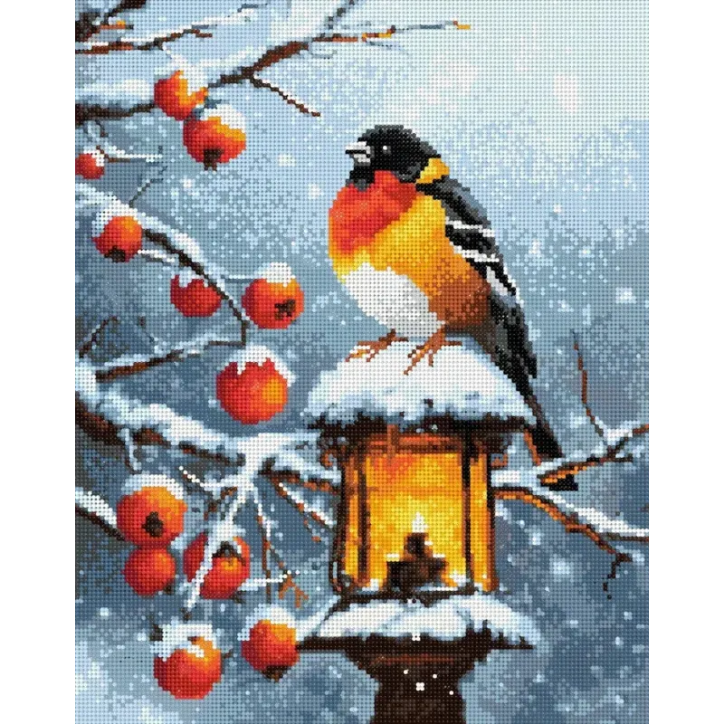 Peinture diamant avec châssis Bouvreuil 30x40 cm VA819