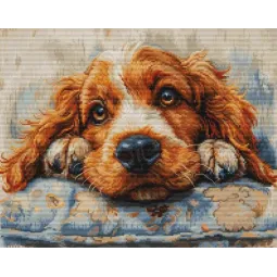 Kryželiu siuvinėjimo rinkinys "Cocker Spaniel" 32x25cm SBU5058