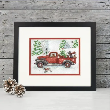 Cross Stitch Kit Joy Ride D70-09622