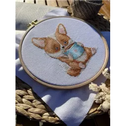 Любители кофе. Корги SANK-62