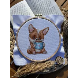 Amateurs de café. Corgi SANK-62