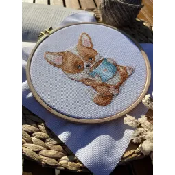 Любители кофе. Корги SANK-62