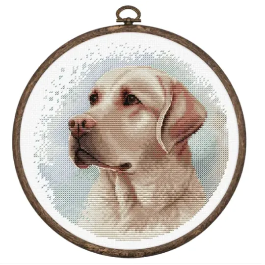 Kit point de croix avec cercle inclus Le Labrador 16x16cm SBC211