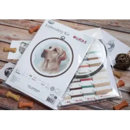 Kit point de croix avec cercle inclus Le Labrador 16x16cm SBC211