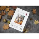 Набор для вышивания крестиком Хранители леса 25x32см SBM3022
