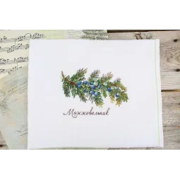 Cross stitch kit "Gifts of nature. Juniper" 12x16 cm SNV-913