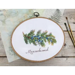 Cross stitch kit "Gifts of nature. Juniper" 12x16 cm SNV-913