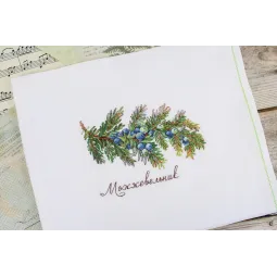 Cross stitch kit "Gifts of nature. Juniper" 12x16 cm SNV-913