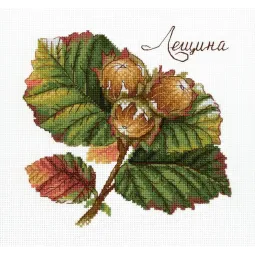 Kryželių siuvinėjimo rinkinys "Gamtos dovanos. Lazdyno riešutas" 13x13 cm SNV-912