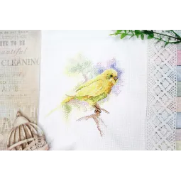 Cross stitch kit "Feathered friend" 15x14 cm SM-739