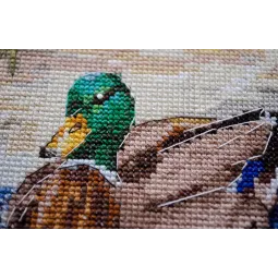 Cross-stitch kits Evening swim (Deco Scenes) 25x23 cm AAH-259